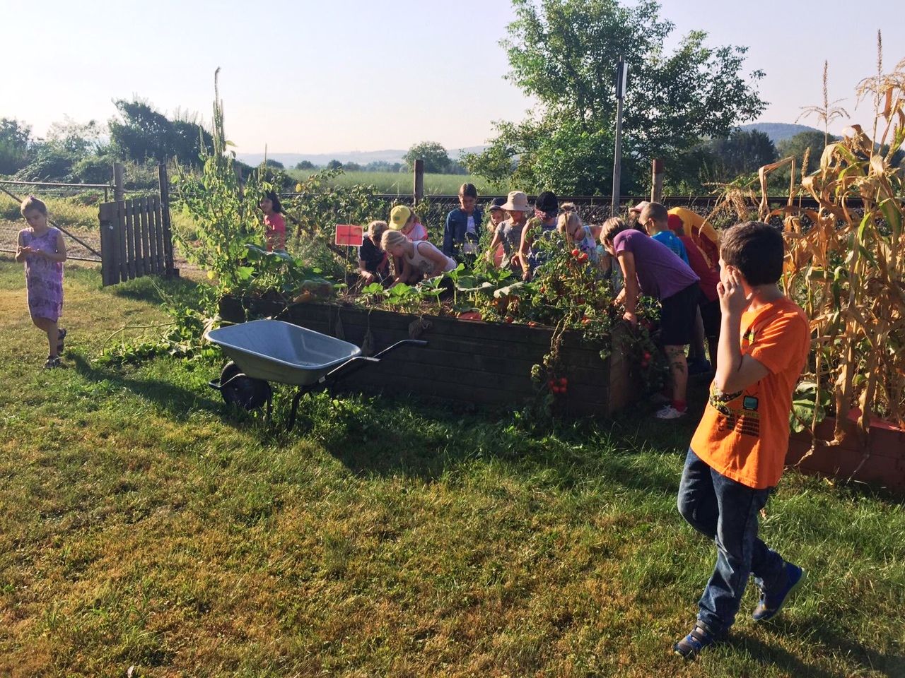 Kartoffeln ausmachen4