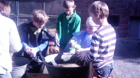 ProWo Schafe10 Homepage